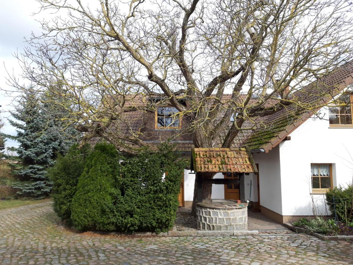 Ein Bett Im Kornfeld - Haus Weitblick - Mit Innenpool Schonfeld  Zewnętrze zdjęcie