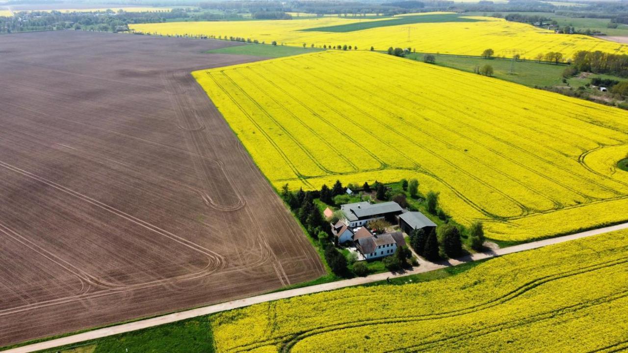 Ein Bett Im Kornfeld - Haus Weitblick - Mit Innenpool Schonfeld  Zewnętrze zdjęcie